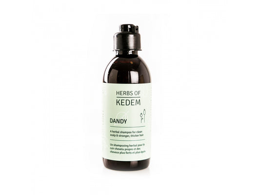 Kedem Cosmetics Dandy Organic Herbal Shampoo