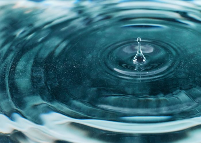 Wave and Quantum